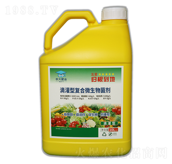 ι͏ͺ΢-w-r(nng)]ʘI(y)