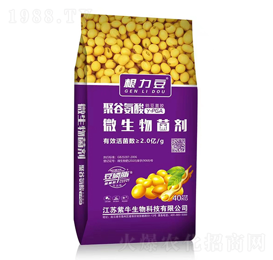 ۹Ȱ΢--r(nng)r(nng)Y