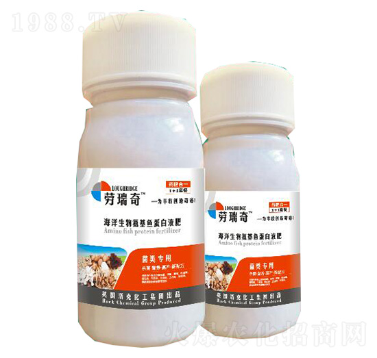 (li)(zhun)úﰱ~(y)Һ-r(nng)I(y)