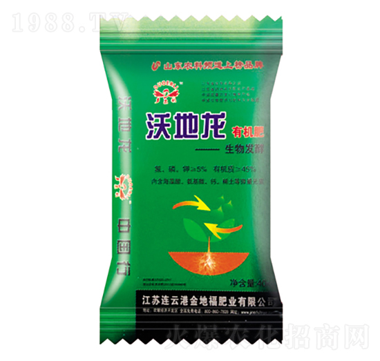 l(f)ЙC-ֵ-𠖸ʘI(y)