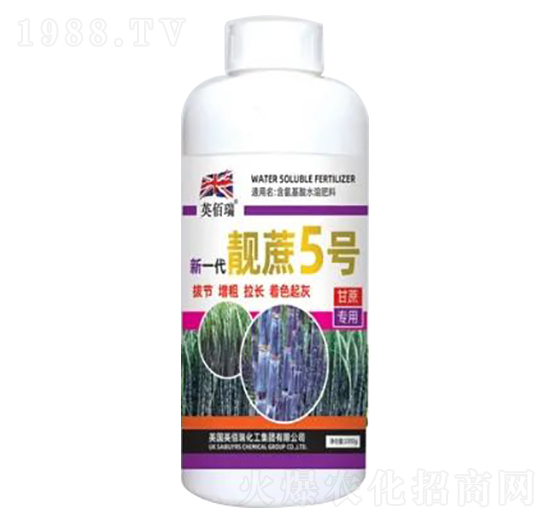 1000gһn5̖(ho)-sҫr(nng)I(y)