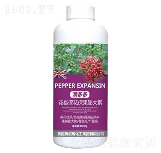 1000g-M-sҫr(nng)I(y)