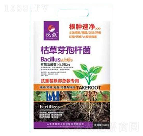 ݲѿߗU-[ك-sҫrI(y)