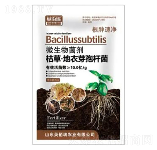 ݲݡѿߗU-[ك-sҫrI(y)