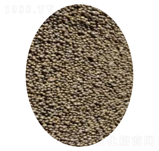 Ч3أw-ɳ-컯r(nng)Y