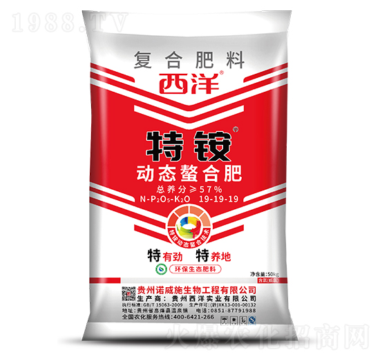 ӑB(ti)Ϗ(f)Ϸ19-19-19-@-B(ti)