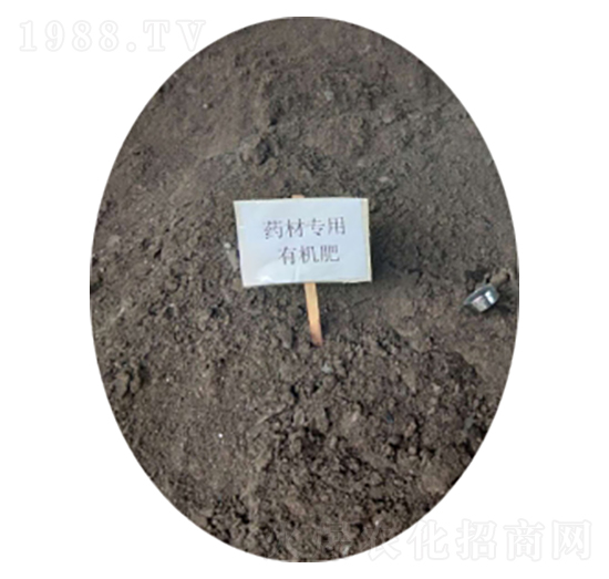 ˎČЙC(j)-r(nng)ʘI(y)