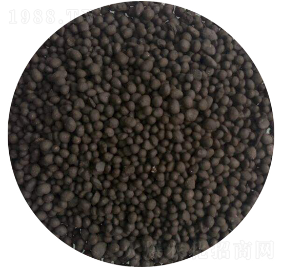 SЙCʣw-r(nng)ʘI(y)