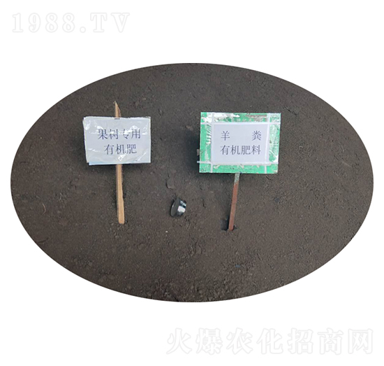 SЙC(j)-r(nng)ʘI(y)