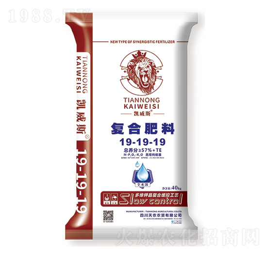 (f)Ϸ19-19-19-P˹-r(nng)r(nng)Y