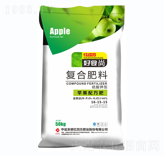 OÏ(f)Ϸ16-15-15-ʳ-tķ