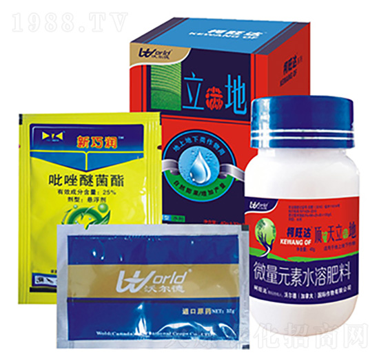 Ko(li)a(chn)ײ-_(d)-֠r(nng)I(y)