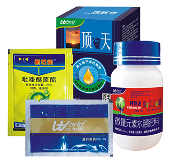 ѹ(li)a(chn)ײ-_(d)-֠r(nng)I(y)