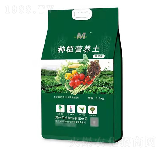 ЙC(j)I(yng)B(yng)-ʘI(y)