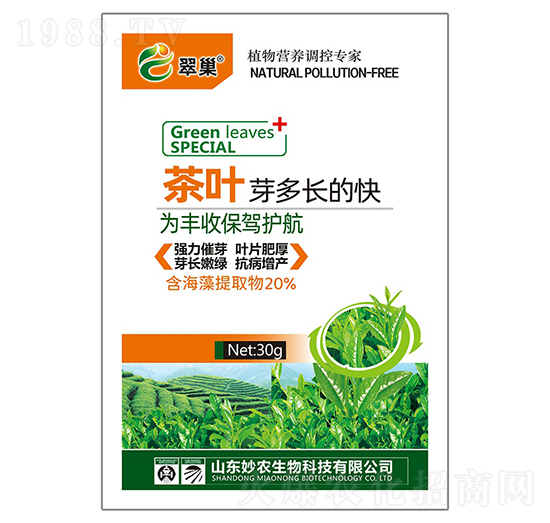 ~ѿL(zhng)Ŀ-䳲-r(nng)