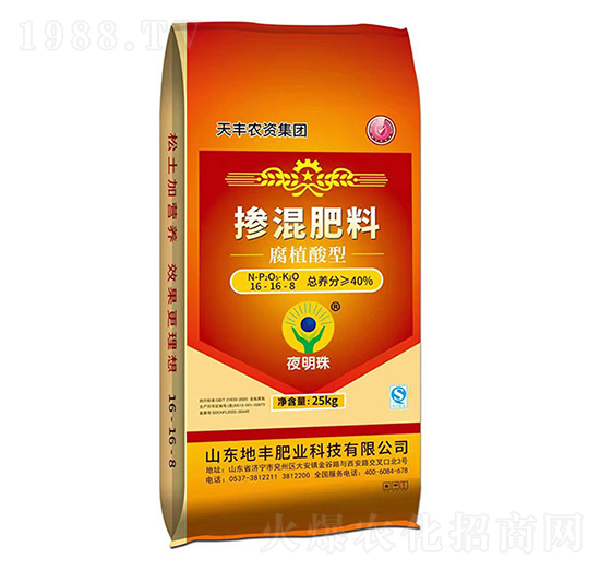 ֲ͓16-16-8-ҹ-SʘI(y)