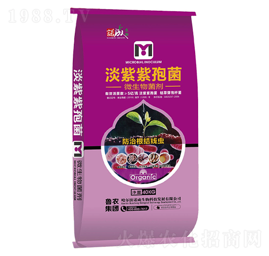 ߾-Zɑ(zhn)-r(nng)F(tun)