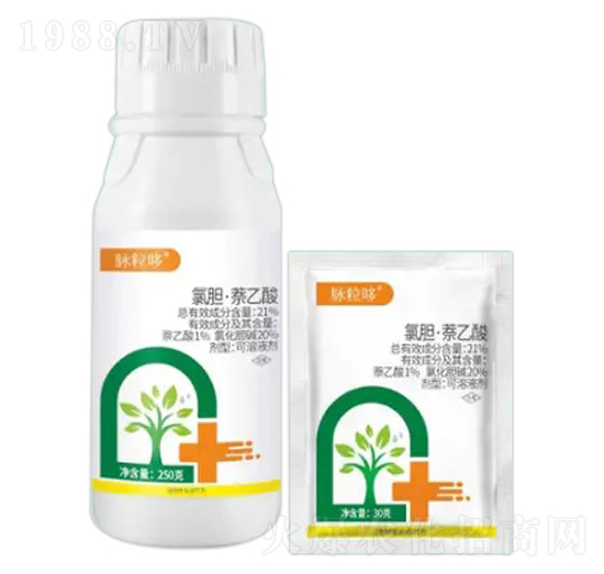 21%đҺ-}-Zr(nng)I(y)