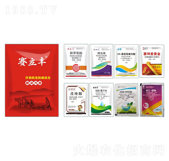 xCϽQ-ِS-ِr(nng)I(y)