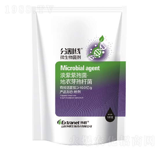 ΢-ָ(xin)-(lin)