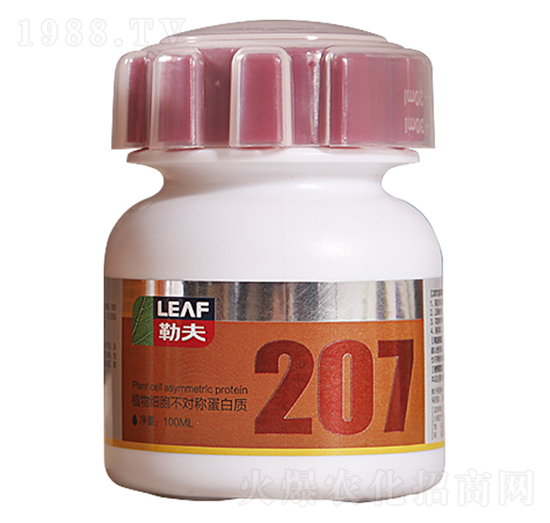 207ֲ：(x)Q|(zh)-շ