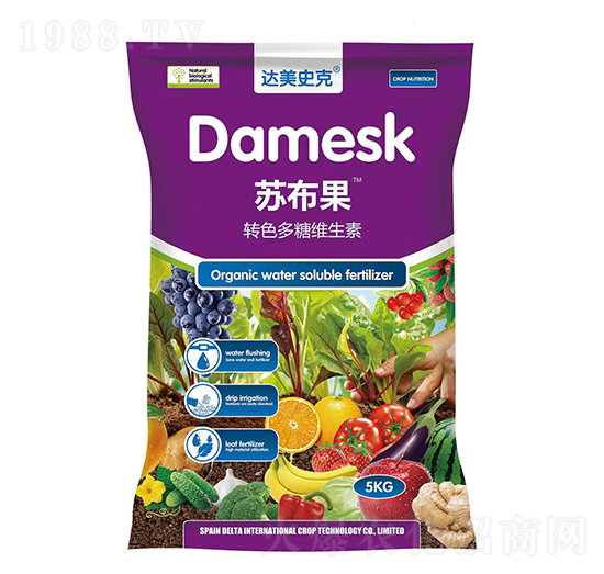 D(zhun)ɫǾS-K-_(d)ʷ