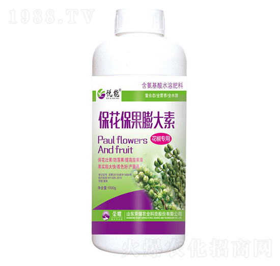 أƿ--sҫr(nng)I(y)