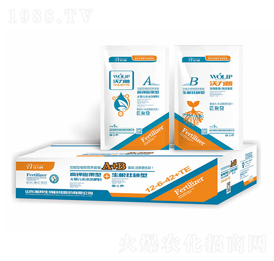 ֲI(yng)B(yng)ײ-嫰