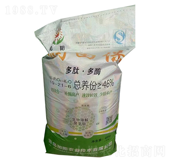 ġø19-21-6-ﱣ-rI(y)