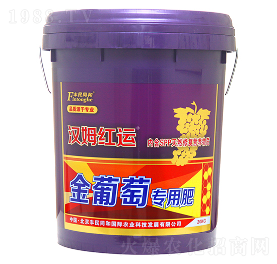 ь÷-hķt\-͝r(nng)I(y)