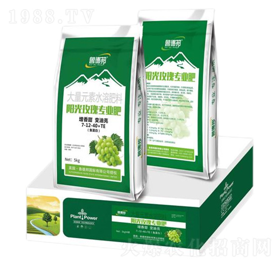 ꖹõ匣ôԪˮܷʷ7-12-40+TE-?sh)°? style=