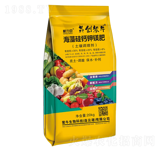 ������}��V��(�����{(di��o)�턩)-������-�Ą�(chu��ng)��ţ