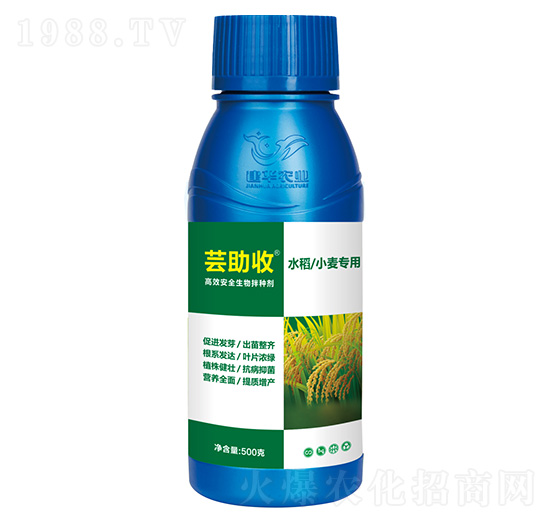 ˮСøЧN-|-Ar(nng)I(y)