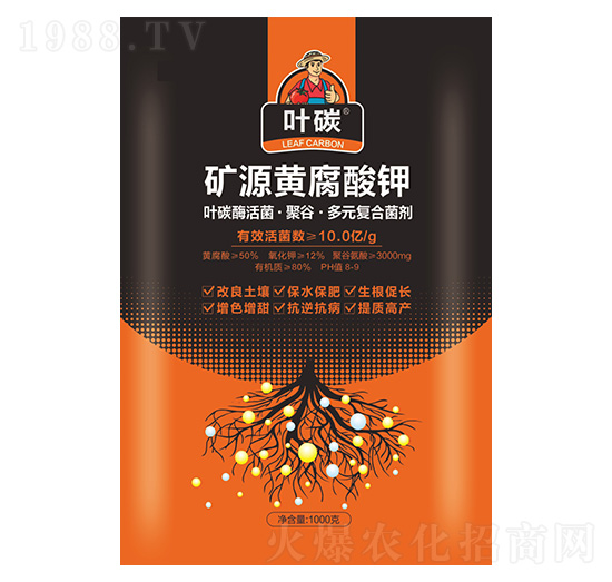 VԴS-~̼-Ar(nng)I(y)