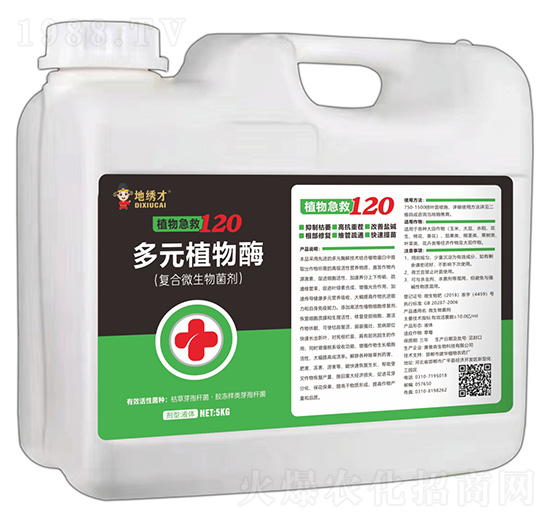 Ԫֲø-ֲＱ120-C-Ar(nng)I(y)