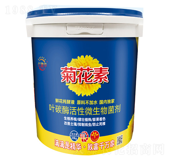 ~̼ø΢-ջ-|A-Ar(nng)I(y)