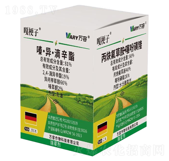 81%ມ+66%ȲݰԻ¡-¹-f