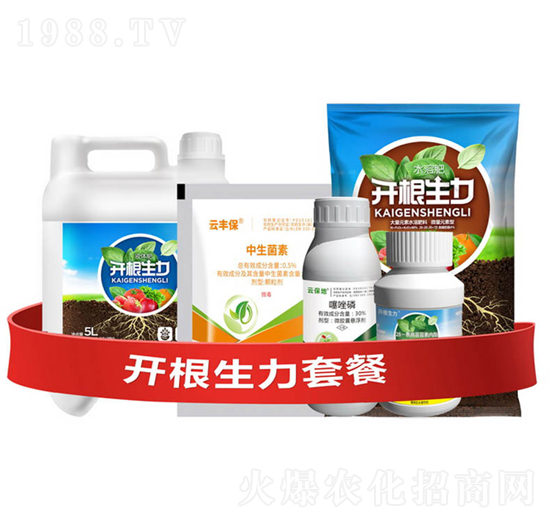 _(ki)ײ͢-_(ki)-ƴƼ