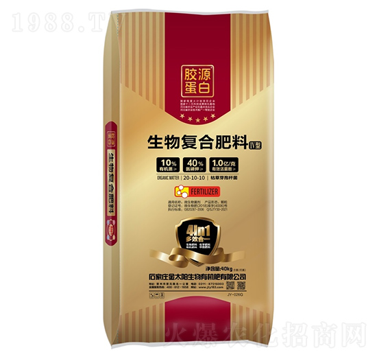 (f)Ϸ20-10-10-̫(yng)