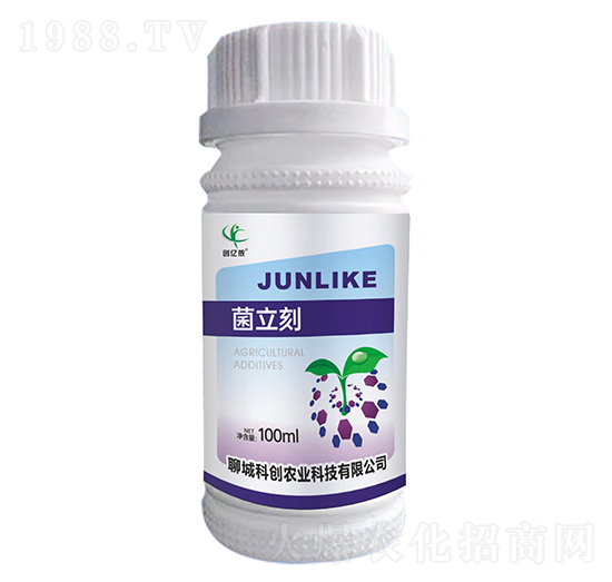 -(chung)|z-ĳǿƄ(chung)