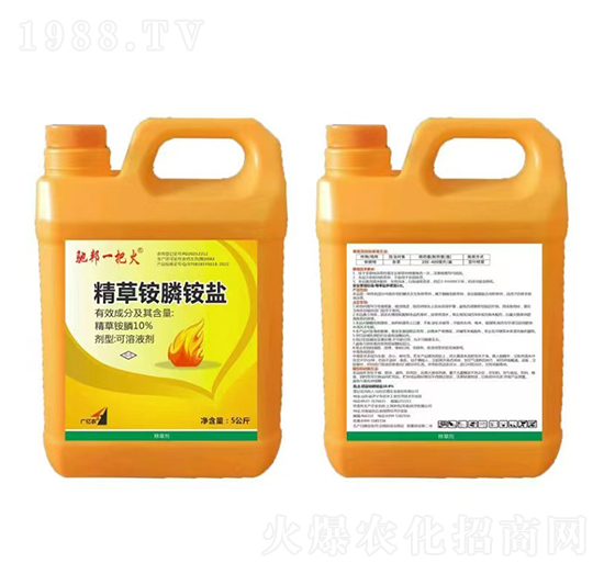 10%@@}5-Yһѻ-t̫(yng)