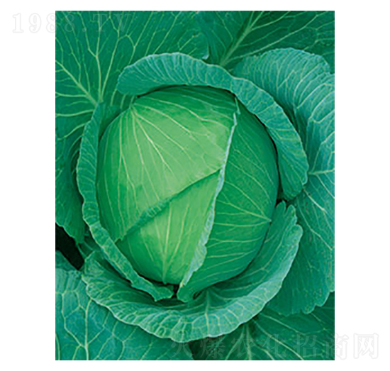 Sһ̖(ho){(ln)-̫NI(y)