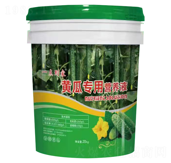 SόàIB(yng)Һ-һc-΢