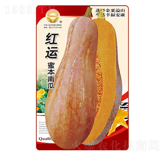 ϹϷN-t\(yn)۱Ϲ-̫NI(y)