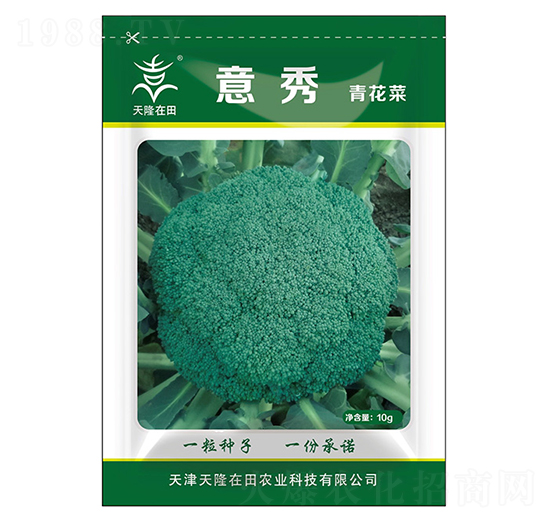 ໨˷N--¡r(nng)I(y)