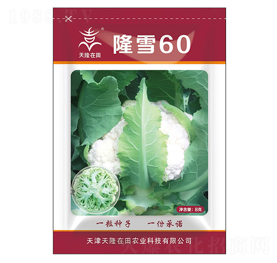 ¡ѩ60-¡-¡r(nng)I(y)