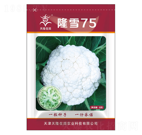 ¡ѩ75-¡-¡r(nng)I(y)