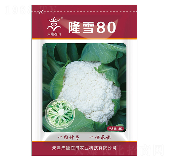 ¡ѩ80-¡-¡r(nng)I(y)