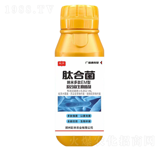 (f)΢-ĺϾ-Sr(nng)I(y)