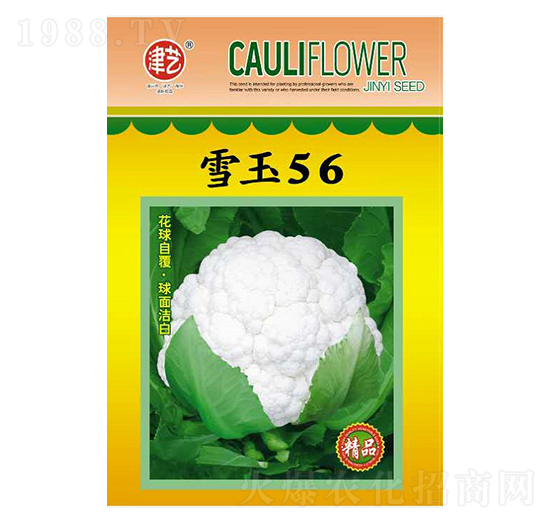 ˷N-ѩ56-Sr(nng)I(y)